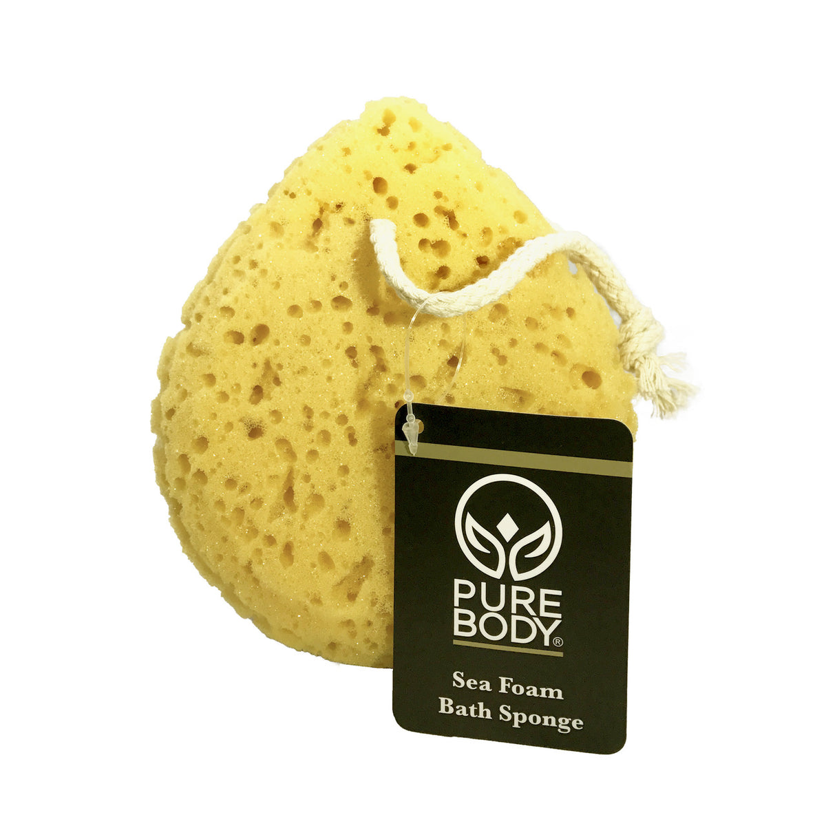 Body Smoothing Sponge XL - Teardrop – BathAccessoriesWholesale